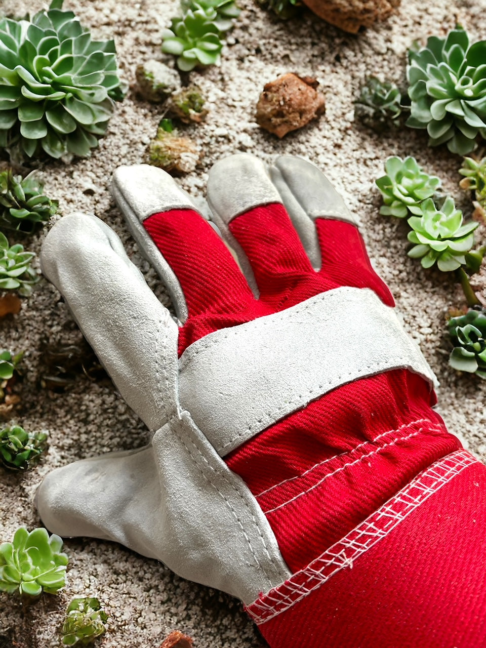 Thorn Proof Gardening Gloves