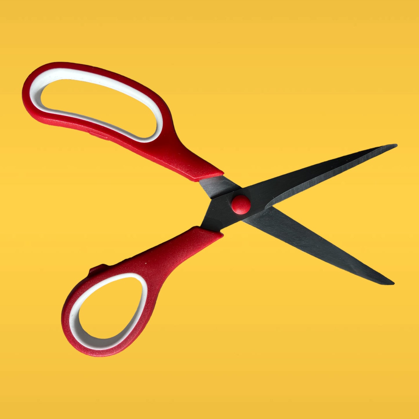 Scissors 3 Pack - Bright Colours